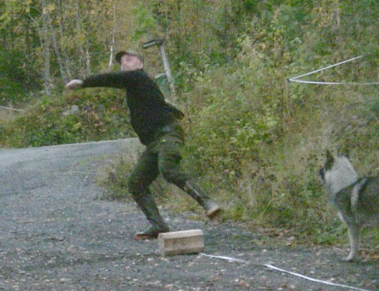 Elgskankkasting Henrik 1.jpg - Henrik kaster elgskank